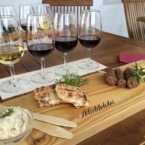 Middelvlei wine tasting